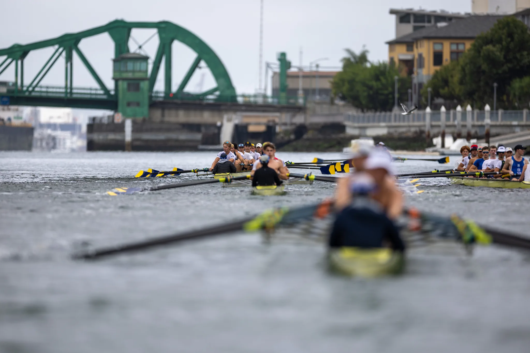 OAKLAND, CA :  August 29 2026. University of California Men’s Crew practice on the Oakland/Alameda Estuary. At the T. Gary Rogers Rowing Center. (Photo by Zach Franzezn)